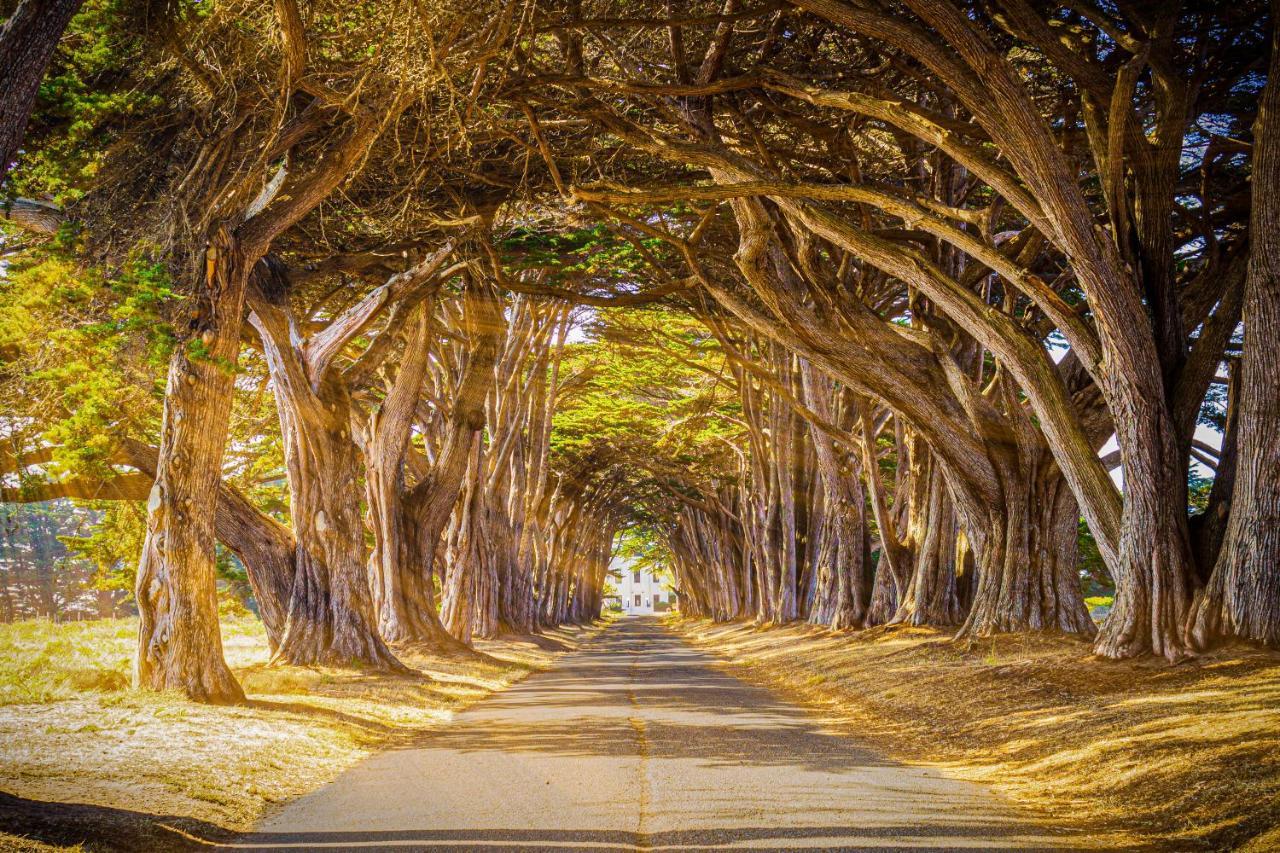 Limantour Lodge Point Reyes Station Dış mekan fotoğraf